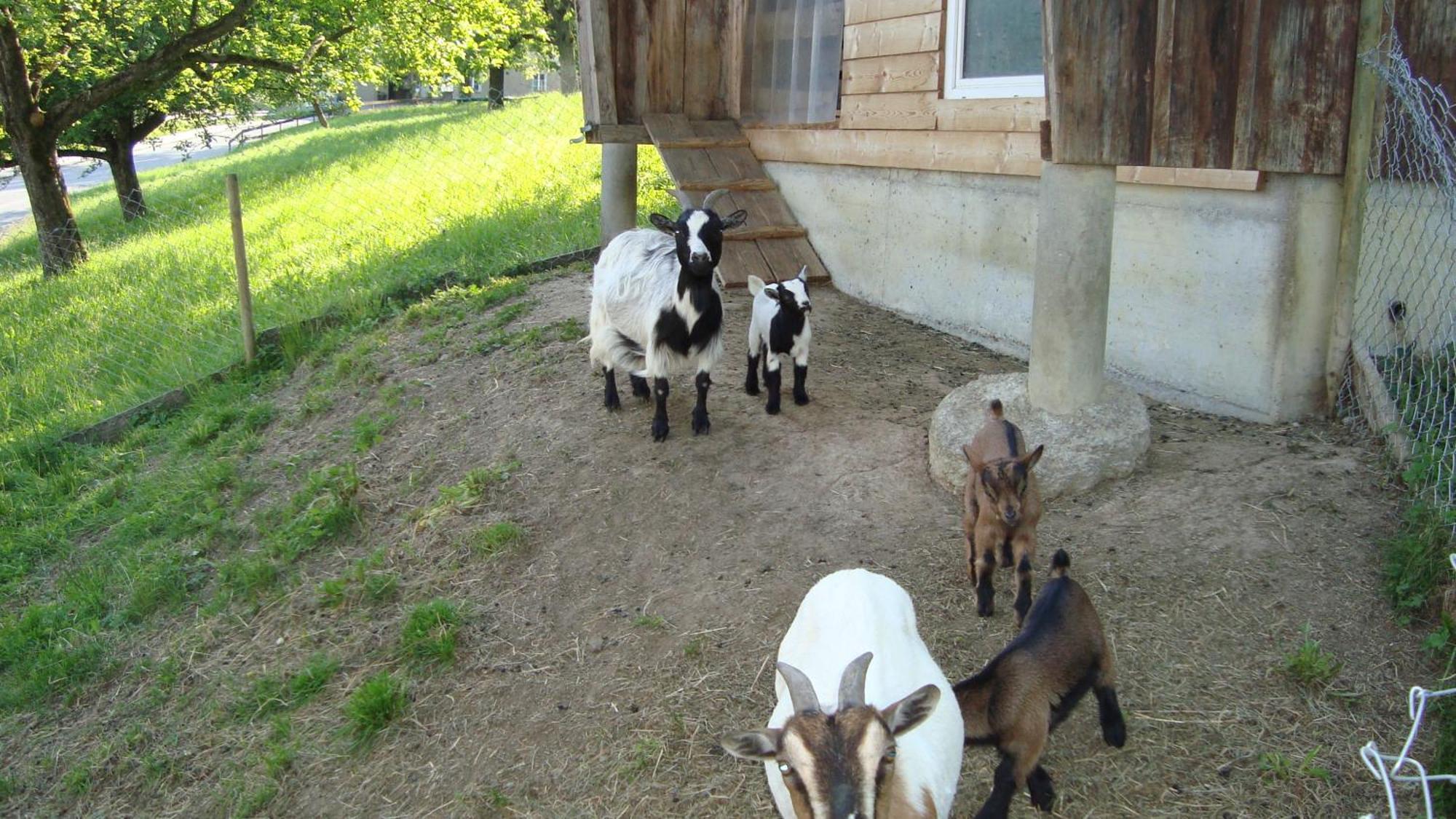 Heiterhof Villa Eichberg Dış mekan fotoğraf
